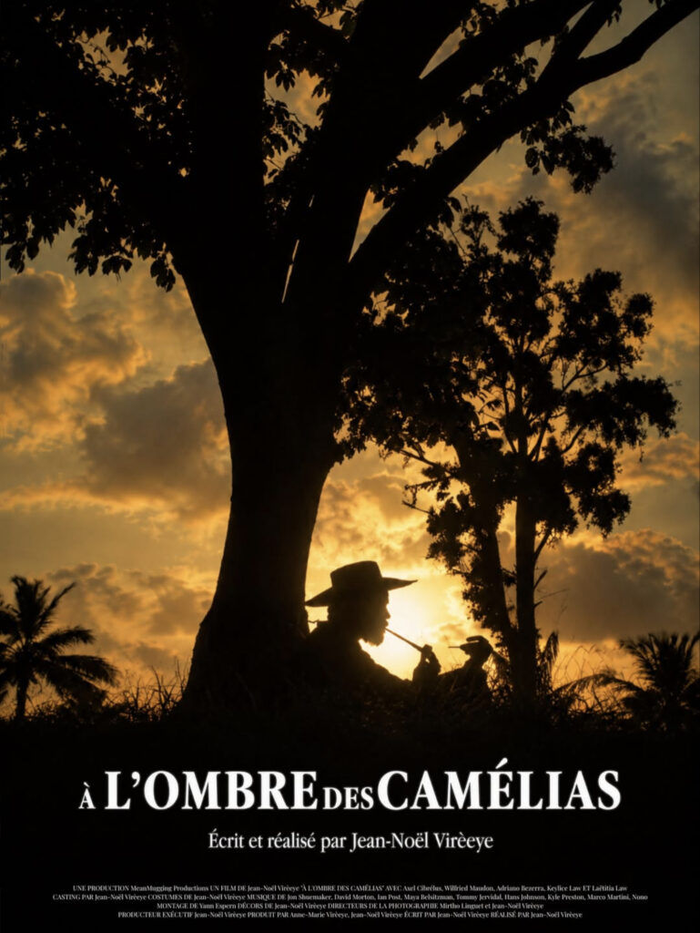À l’ombre des camélias